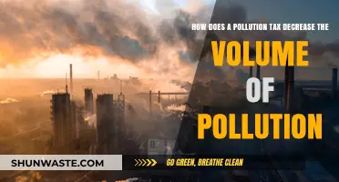 Pollution Tax: Effective Solution to Reduce Pollution Emissions