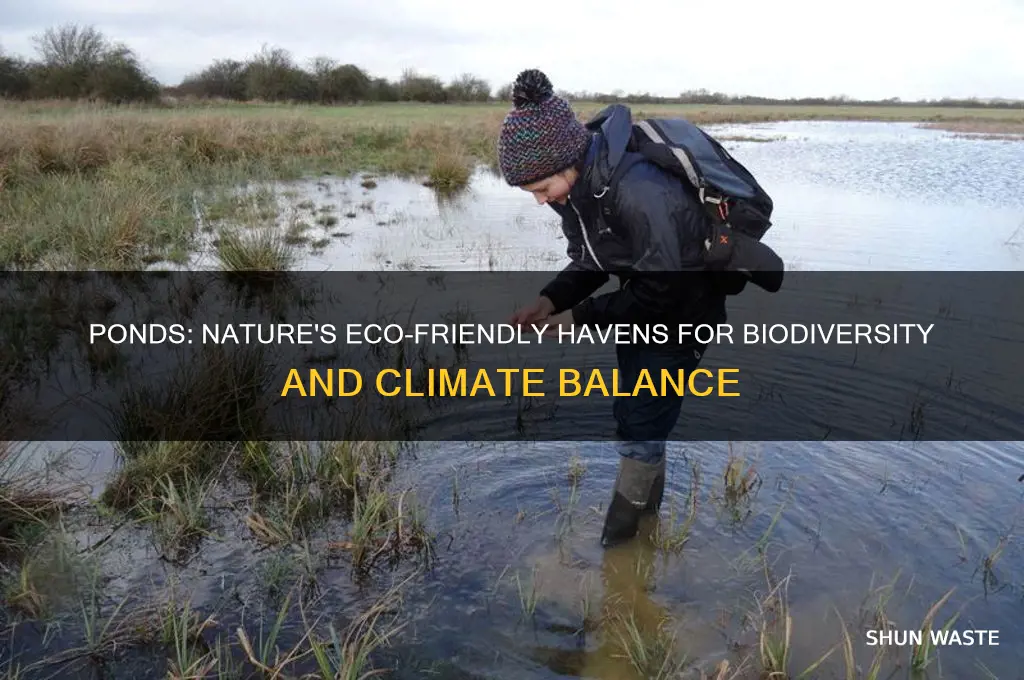 how does a pond help the environment