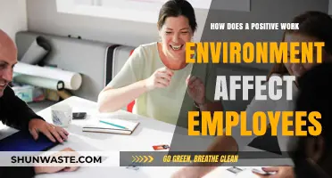 Boosting Productivity: The Impact of a Positive Work Environment on Employees