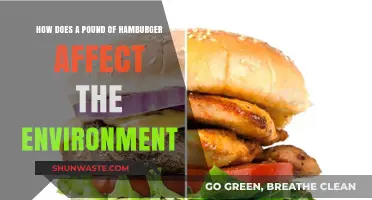 The Environmental Impact of a Pound of Hamburger: A Deep Dive