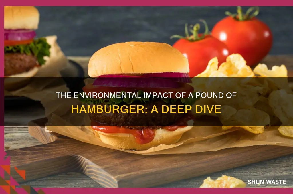 how does a pound of hamburger affect the environment