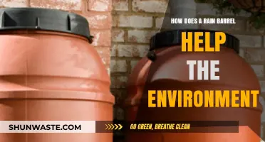 Rain Barrels: Eco-Friendly Solutions for Water Conservation and Sustainability