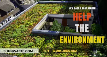 Green Roofs: How Roof Gardens Benefit the Environment and Cities