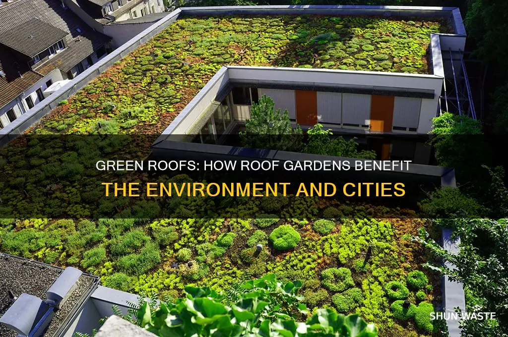how does a roof garden help the environment