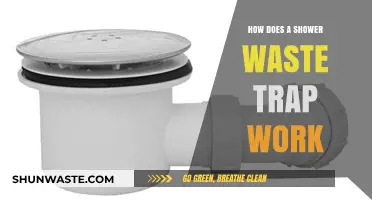 Understanding Shower Waste Traps: Function, Importance, and Maintenance Tips