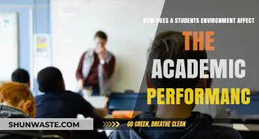 Environment's Impact: Shaping Student Academic Performance and Learning Outcomes
