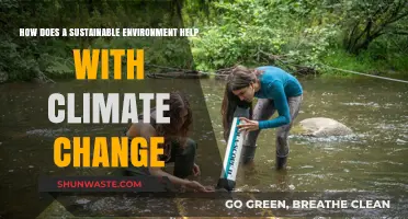 Sustainable Environments: Key Solutions to Combat Climate Change Effectively