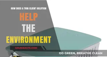 Eco-Friendly Computing: Thin Client Solutions for a Greener Environment