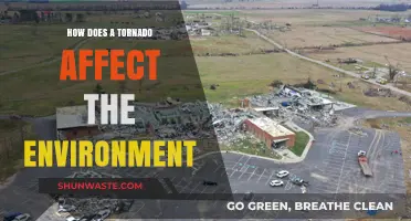 Tornadoes' Environmental Impact: Destruction, Ecosystem Changes, and Recovery Challenges