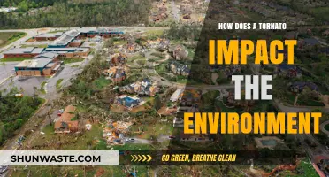 Tornadoes' Environmental Impact: Destruction, Ecosystem Changes, and Long-Term Effects