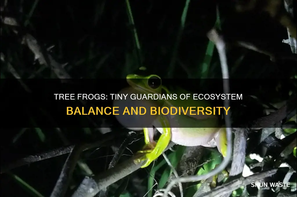 how does a tree frog help the environment