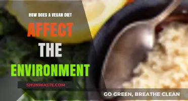 Vegan Diet's Environmental Impact: Sustainability, Climate, and Eco-Friendly Choices