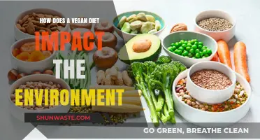 Vegan Diet's Environmental Impact: Sustainable Food Choices for a Greener Planet