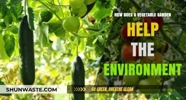 Vegetable Gardens: Eco-Friendly Benefits for a Greener, Healthier Planet