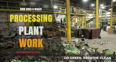 Inside Waste Processing Plants: Transforming Trash into Resources Step-by-Step