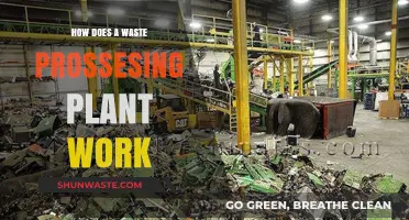 Inside Waste Processing Plants: How Trash is Transformed and Recycled