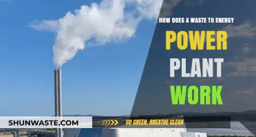 Transforming Trash to Power: Inside Waste-to-Energy Plant Operations