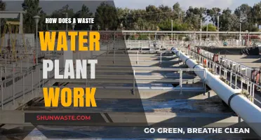 Understanding Wastewater Treatment: How Plants Clean and Recycle Water