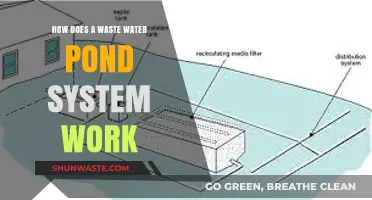 Understanding Waste Water Pond Systems: Functionality and Environmental Benefits