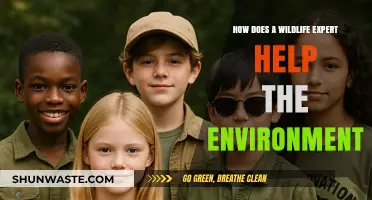 Wildlife Experts: Guardians of Ecosystems and Environmental Conservation Heroes