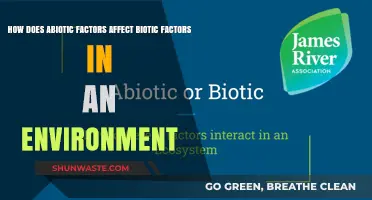 Abiotic Factors: Shaping Life and Ecosystems in Every Environment