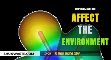 Acetone's Environmental Impact: Pollution, Wildlife Effects, and Ecosystem Disruption