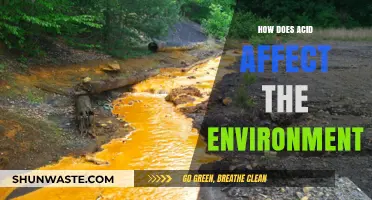 Acid's Environmental Impact: Understanding the Harmful Effects on Ecosystems