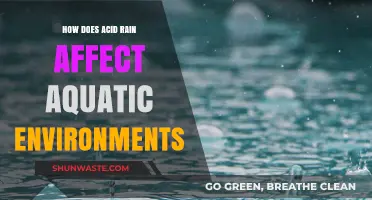 Acid Rain's Impact: Unraveling Its Devastating Effects on Aquatic Ecosystems