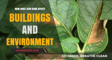 Acid Rain's Impact: Buildings, Ecosystems, and Environmental Degradation Explained