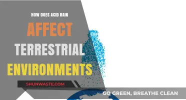 Acid Rain's Impact: Terrestrial Ecosystems, Soil Health, and Biodiversity Loss