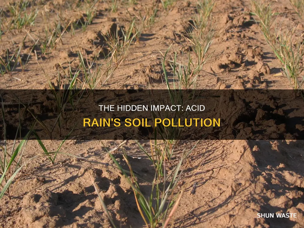 how does acid rain cause soil pollution