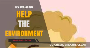 Unexpected Benefits: How Acid Rain Positively Impacts Ecosystems