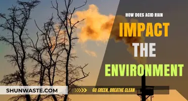 Acid Rain's Devastating Effects on Ecosystems and Environmental Health
