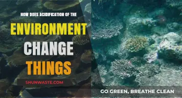 Environmental Acidification: Transforming Ecosystems, Biodiversity, and Human Impacts Explained