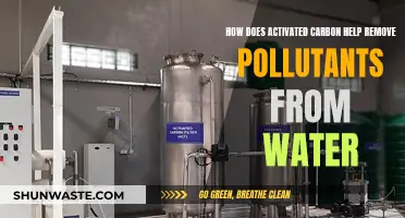 Activated Carbon's Power: Purifying Water from Pollutants