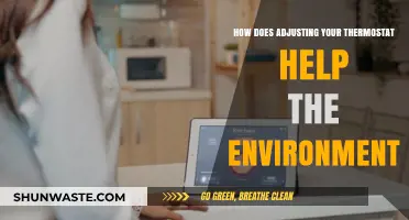 Eco-Friendly Temperature Control: How Thermostat Adjustments Benefit the Planet