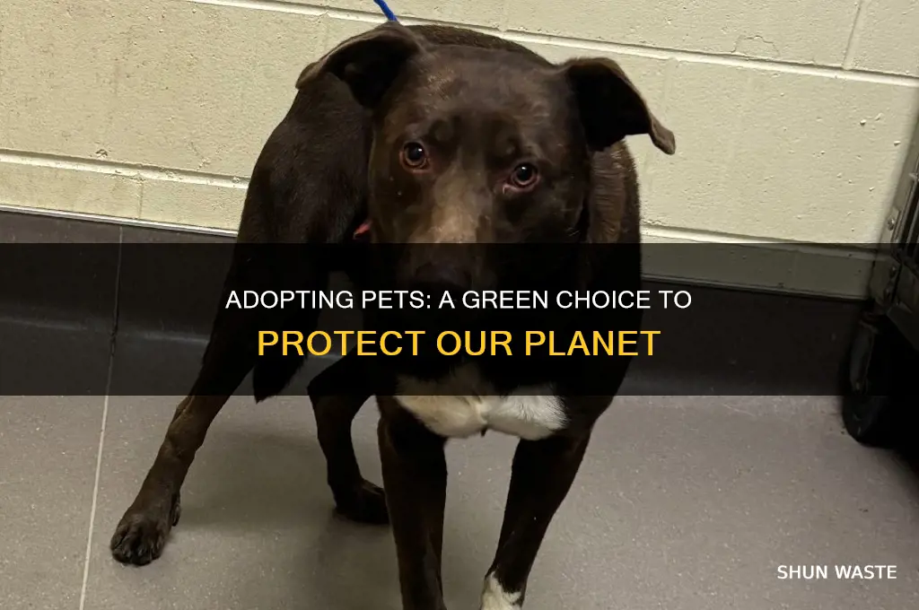 how does adopting an animal help the environment