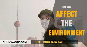 Human Impact on Nature: How Our Actions Affect the Environment