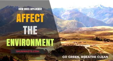 Affluence's Environmental Impact: How Wealth Shapes Our Planet's Future