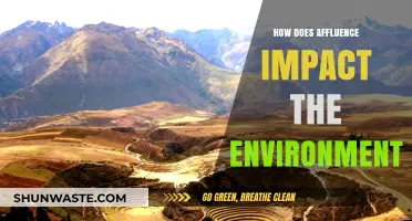 Affluence and Ecology: Exploring Wealth's Environmental Footprint and Consequences
