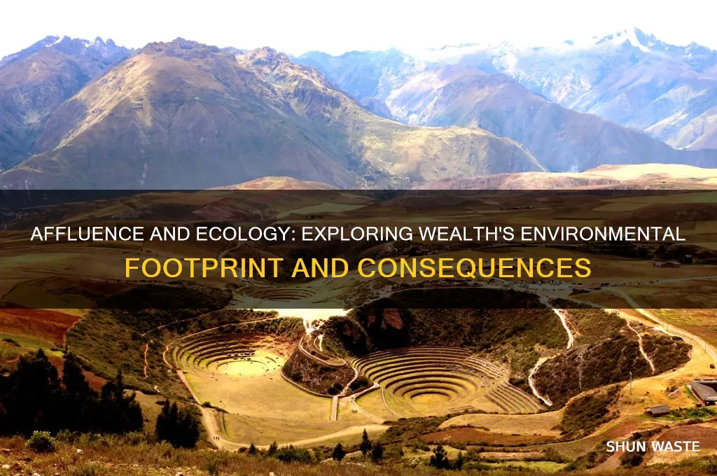 how does affluence impact the environment