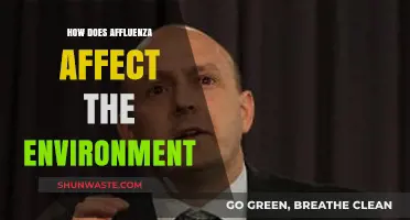 Affluenza's Environmental Impact: How Overconsumption Harms Our Planet