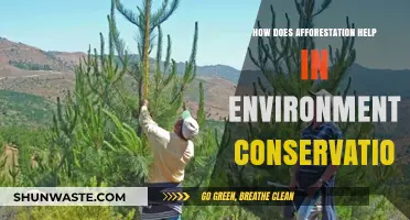 Afforestation's Role in Preserving Ecosystems and Combating Climate Change