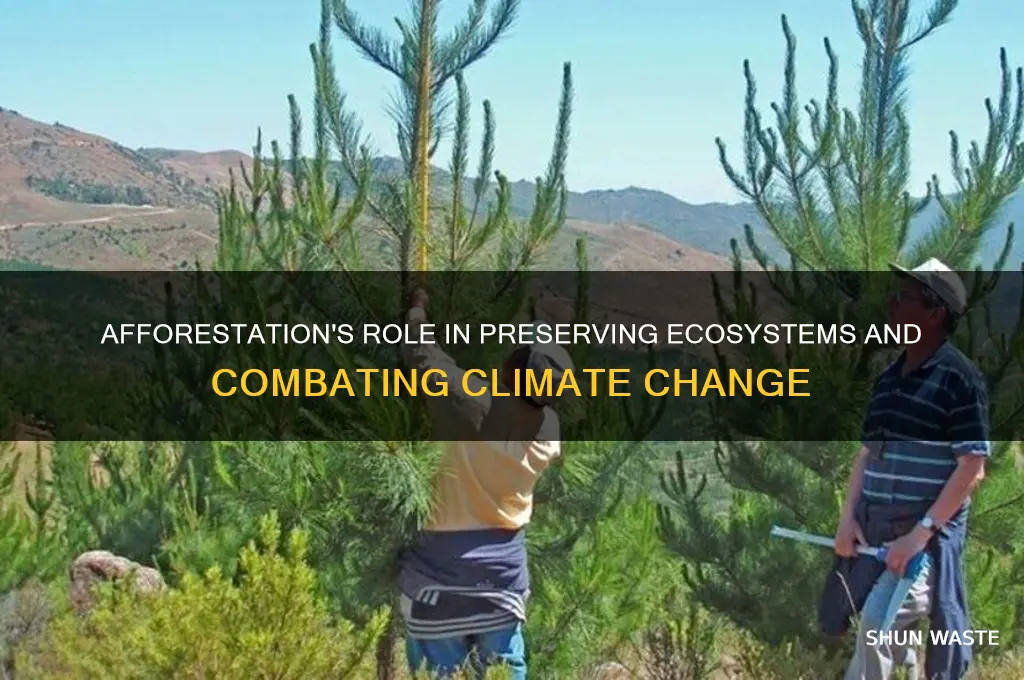 how does afforestation help in environment conservation