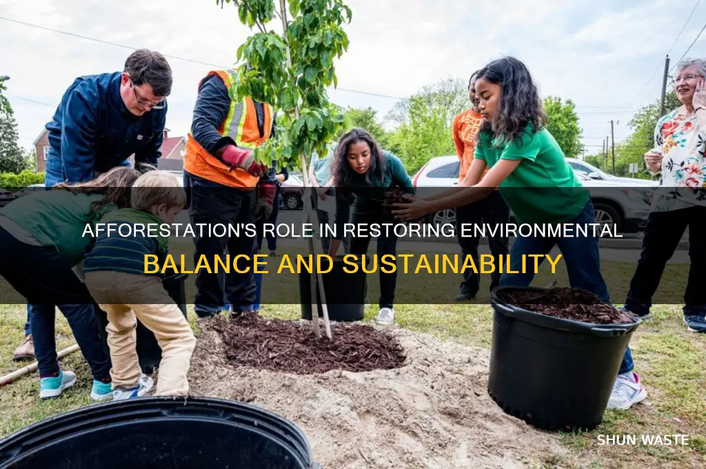 how does afforestation help to balance the environment