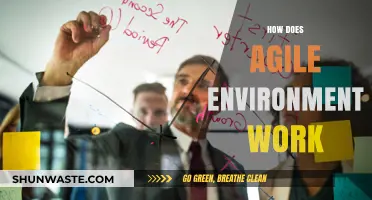 Understanding Agile: How Collaborative Environments Drive Efficient Project Success