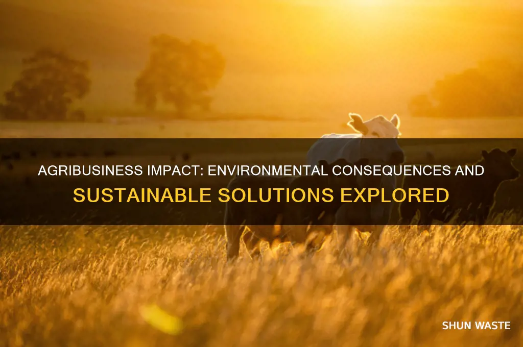 how does agribusiness affect the environment