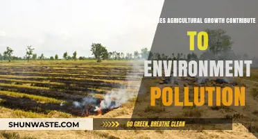 Agricultural Growth: Environmental Pollution's Dark Side