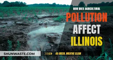 Agricultural Pollution's Impact on Illinois' Environment and Health