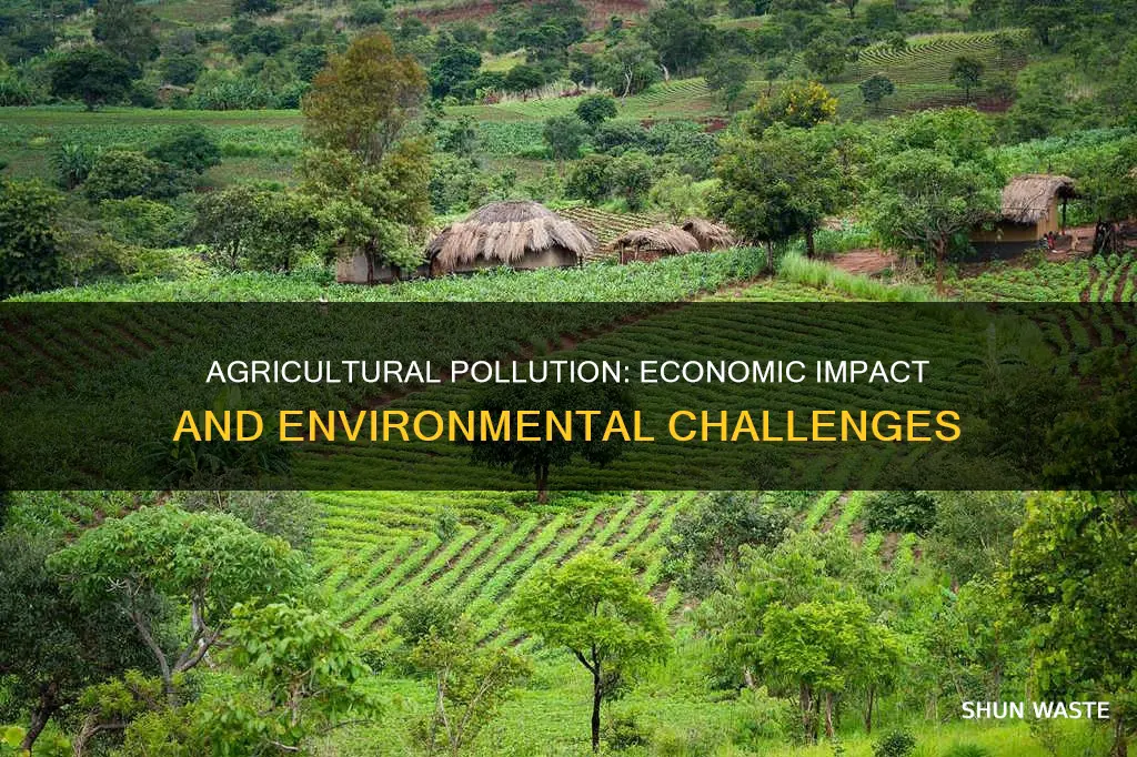 how does agricultural pollution affect the economy